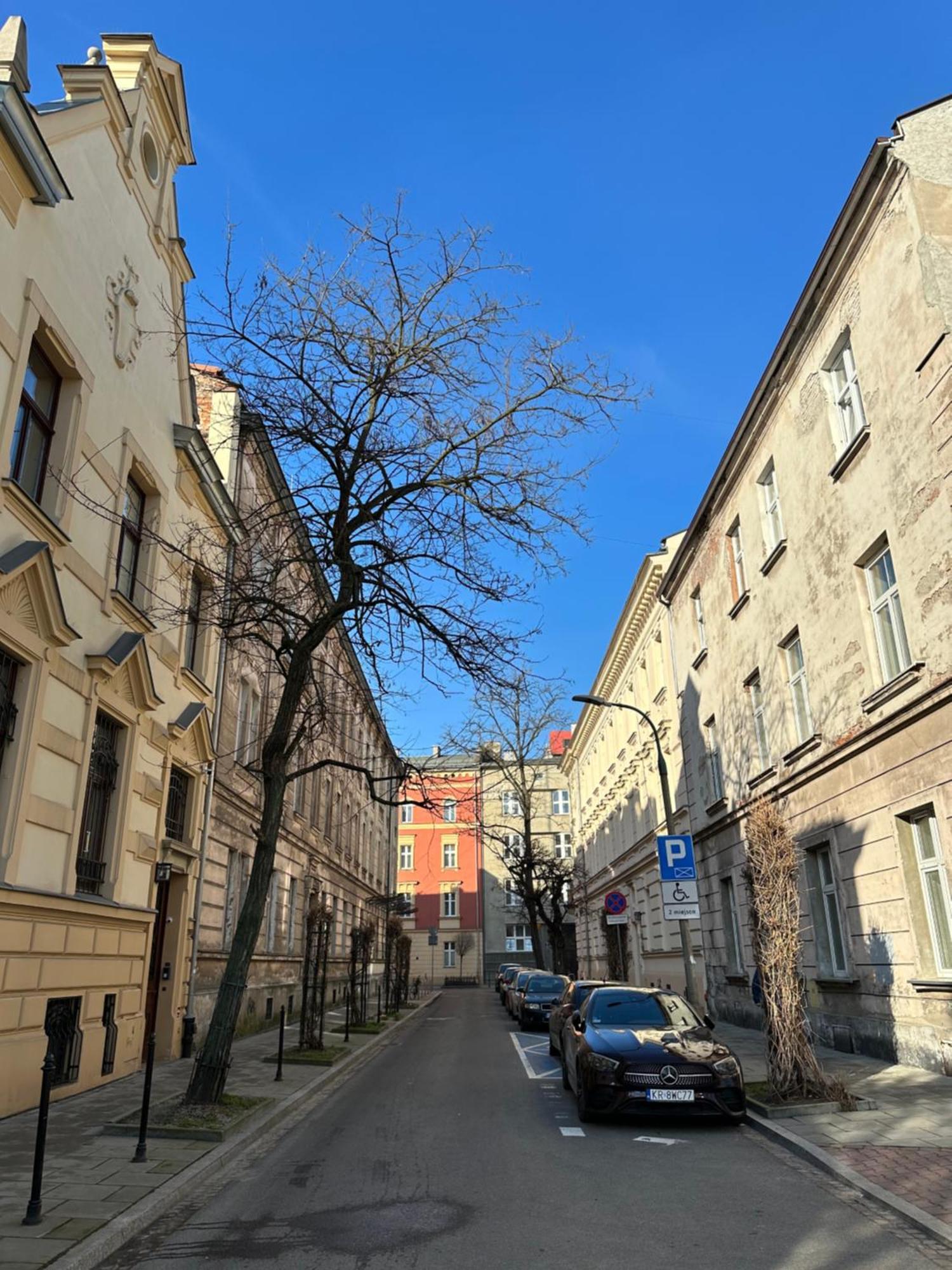 Perfect Place To Stay In Krakow City Center 36M2 W3 Exterior foto